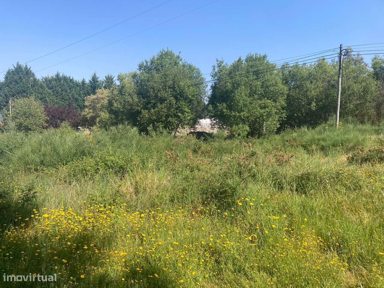Terreno Rústico à Venda em Perozelo, Penafiel – Ideal para Indústria E - Grande imagem: 5/12