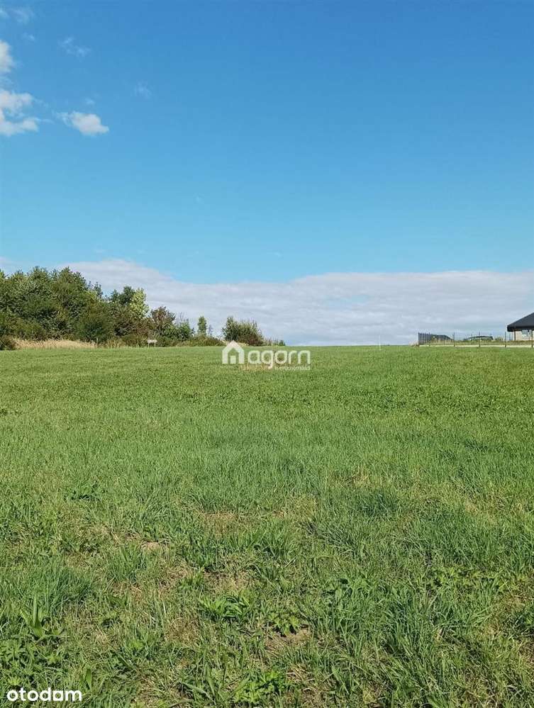 Działka inwestycyjna w Starym Bielsku - Pełny obrazek: 2/3