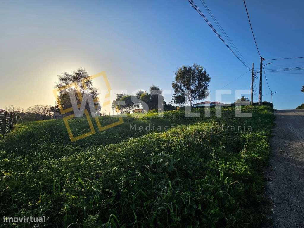 Moradia T4 de estilo contemporâneo com piscina - Ericeira-11