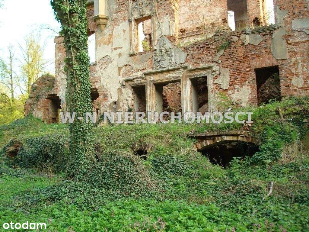 Pałac Sobolice - Pełny obrazek: 5/20