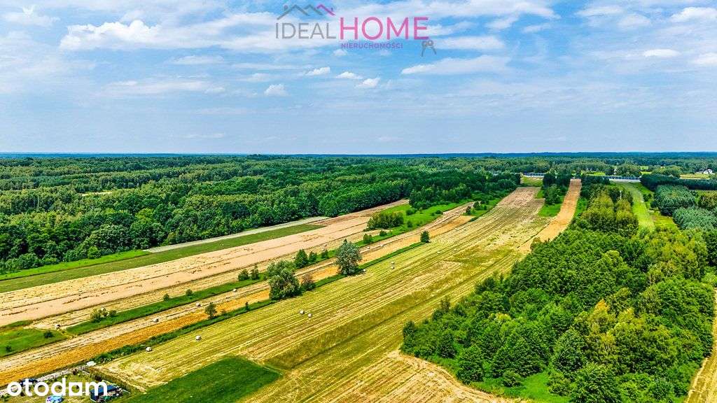 Działka ul. Jastrzębia Borek Wielki- Mpzp 1,1266ha - Pełny obrazek: 4/7