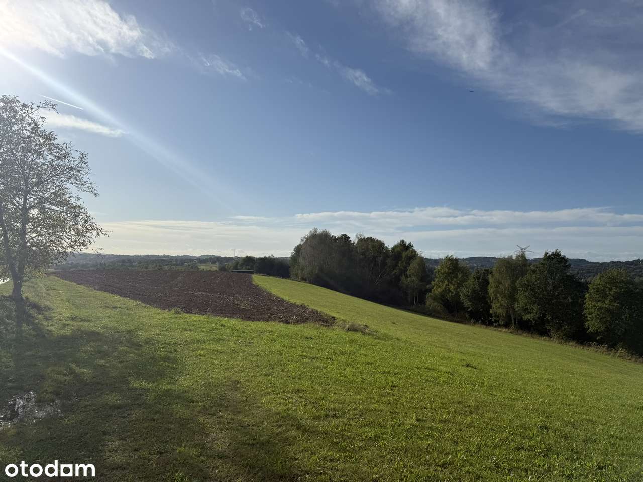 Dziekanowice - duża działka budowlana-8