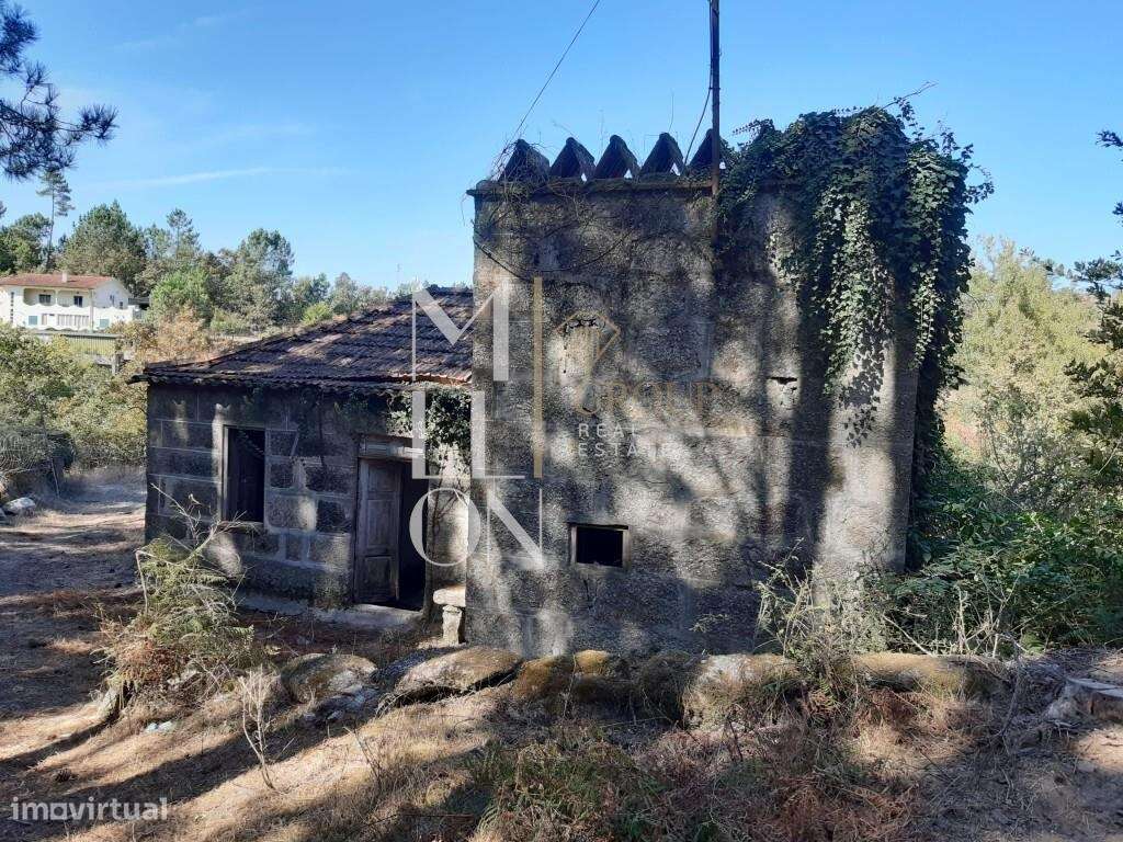 Quinta de Alvim com 27000m2 a 7 km do Marco de Canaveses - Grande imagem: 4/7