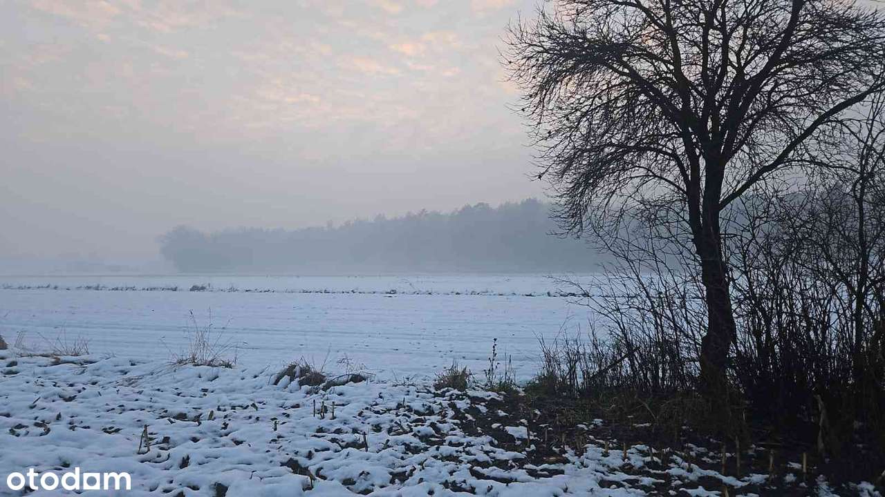 Piękne siedlisko - Pełny obrazek: 5/17