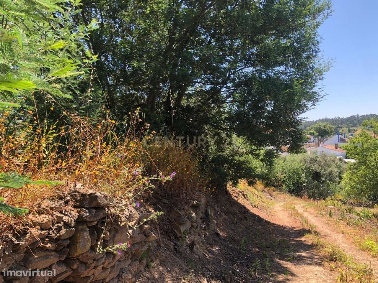 Terreno Rústico - Grande imagem: 4/6