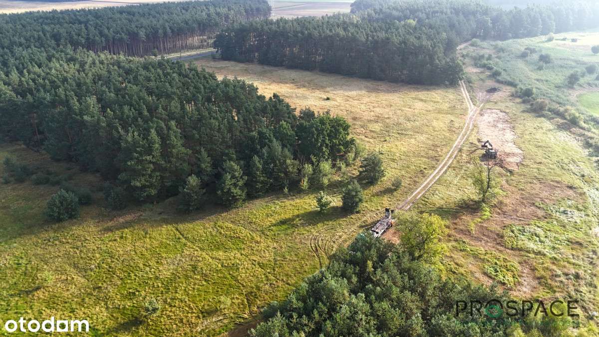 Działka 10 arów tuż przy lesie ✨cisza i spokój✨ - Pełny obrazek: 4/6