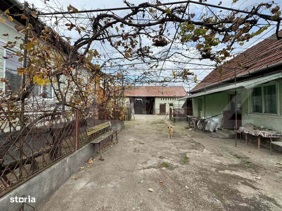 Casa individuala, 3 camere - 1380 mp, Leorint, judetul Alba - Imagine principală: 3/5