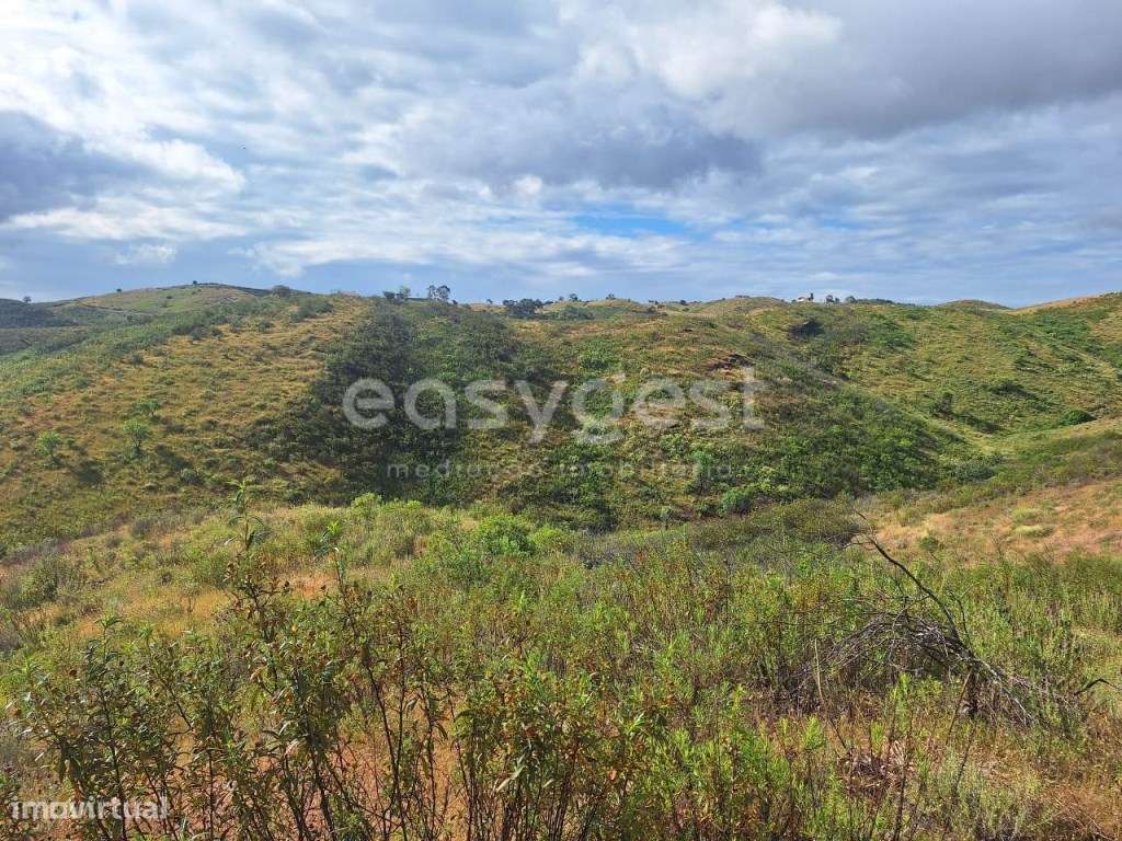 Terreno rústico com alfarrobeiras e amendoeiras - Azinhal, Castro M... - Grande imagem: 4/12
