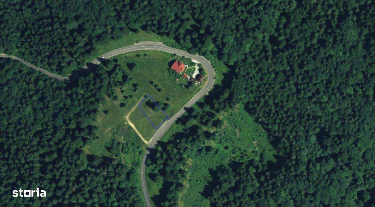 Teren Intravilan 1000MP Utilitati 3 Brazi Predeal - Imagine principală: 4/6