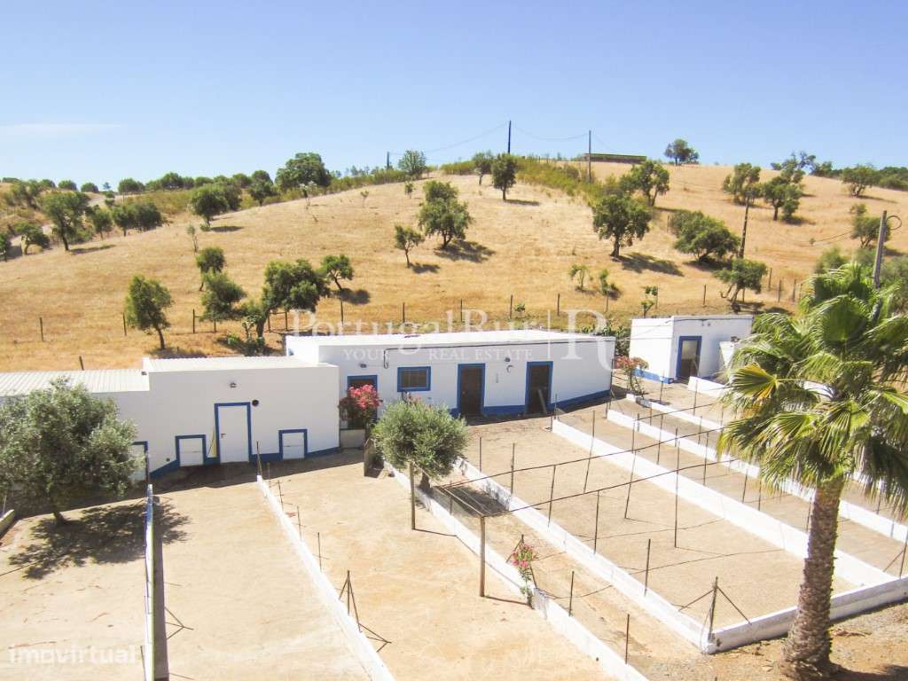 Herdade com 21ha perto do Lago Alqueva - Grande imagem: 4/56