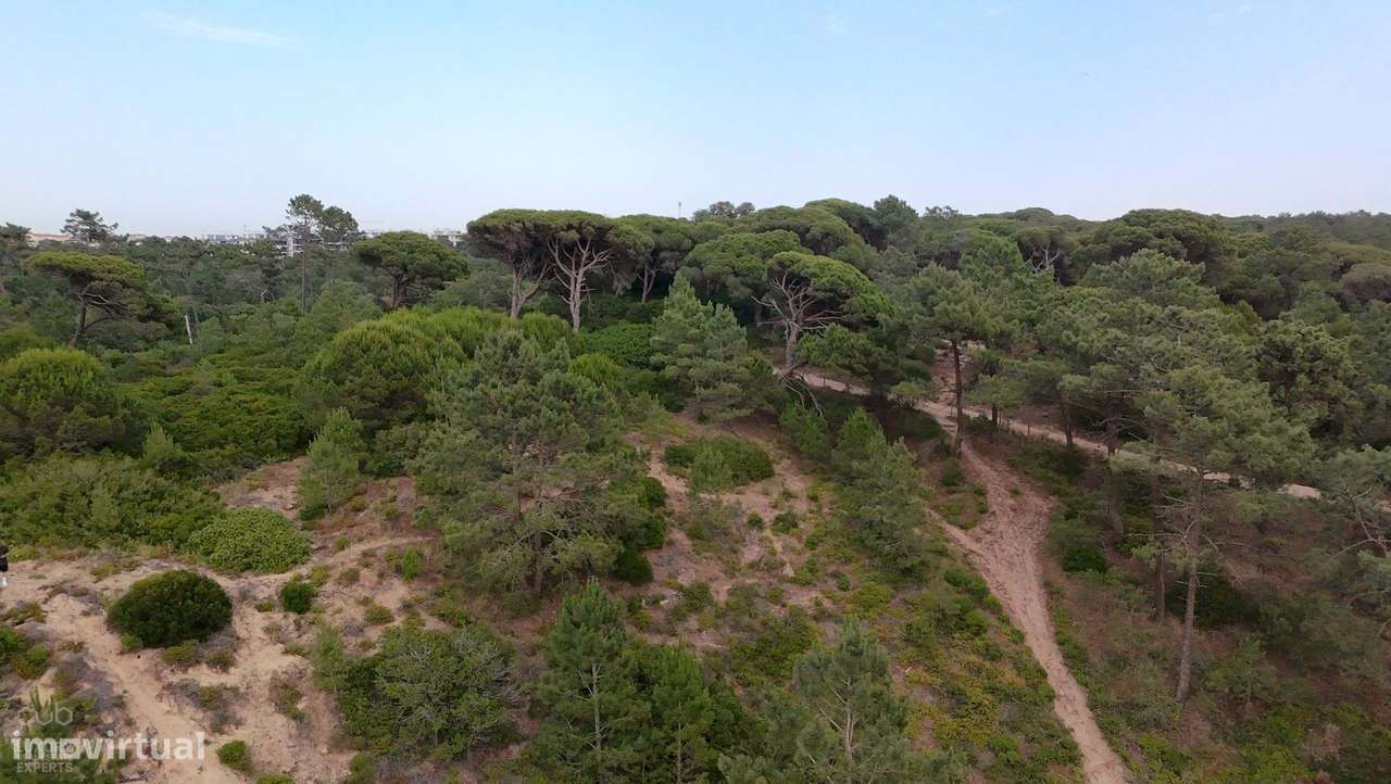 Terreno Rústico com Vista Mar e Potencial Ecológico-16