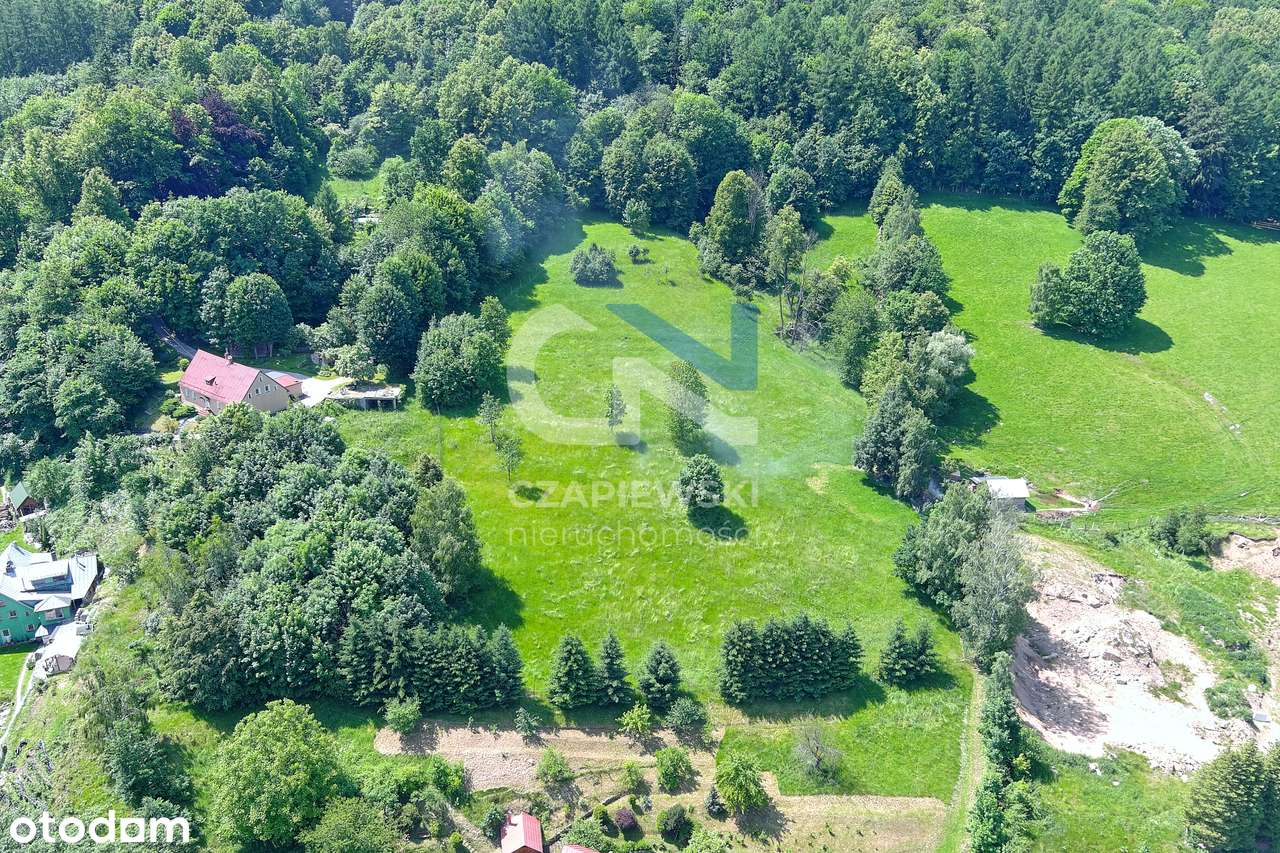 Sosnówka-okolice Karpacza/JeleniejGóry,działka budowlana,studium,media - Pełny obrazek: 4/18