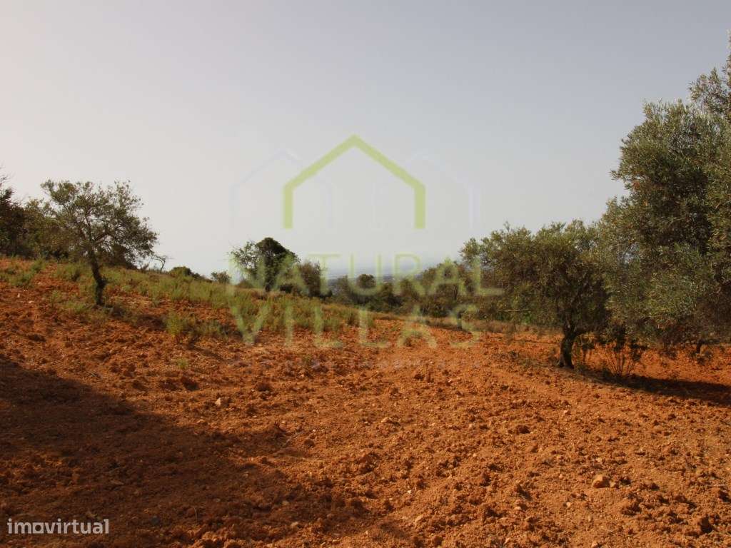 Terreno Rústico de 6960m2 e Vista Mar em Estoi - Grande imagem: 2/10