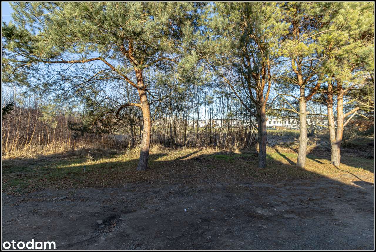 Kiekrz - działka rolna 5 879m2-18