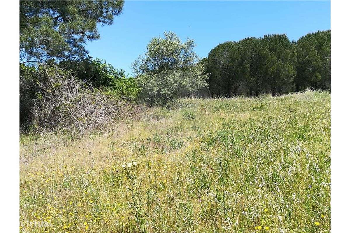 Terreno  para venda-12