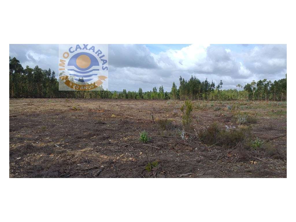 Terreno com projecto Aprovado - Grande imagem: 5/5