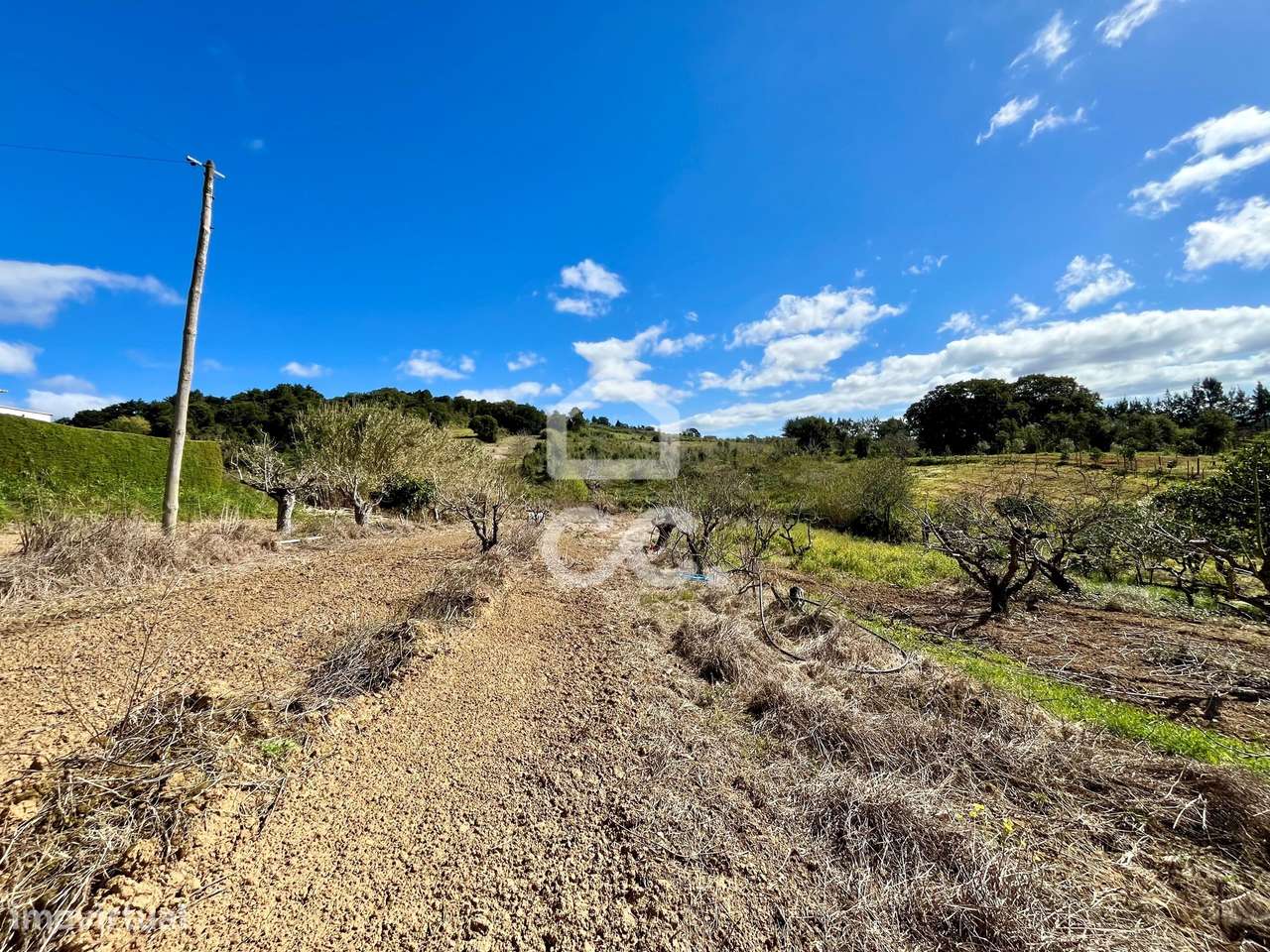 Terreno misto com viabilidade de construção - Grande imagem: 5/23