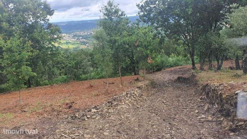 Terreno 1,2 ha com viabilidade de construção – Esculca - Grande imagem: 5/12