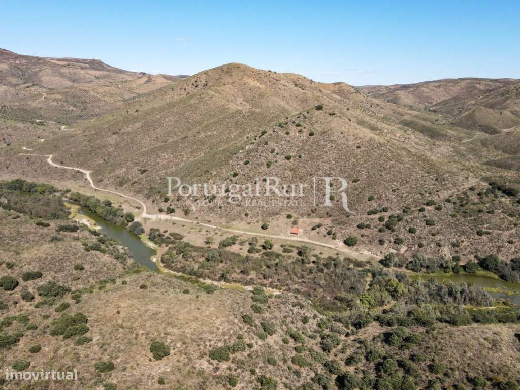 Propriedade em Vila Nova de Foz Coa - Vinho do Douro - Grande imagem: 5/49