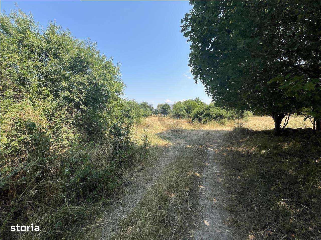 RECO Teren intravilan Tileagd 2337 mp - Imagine principală: 5/5