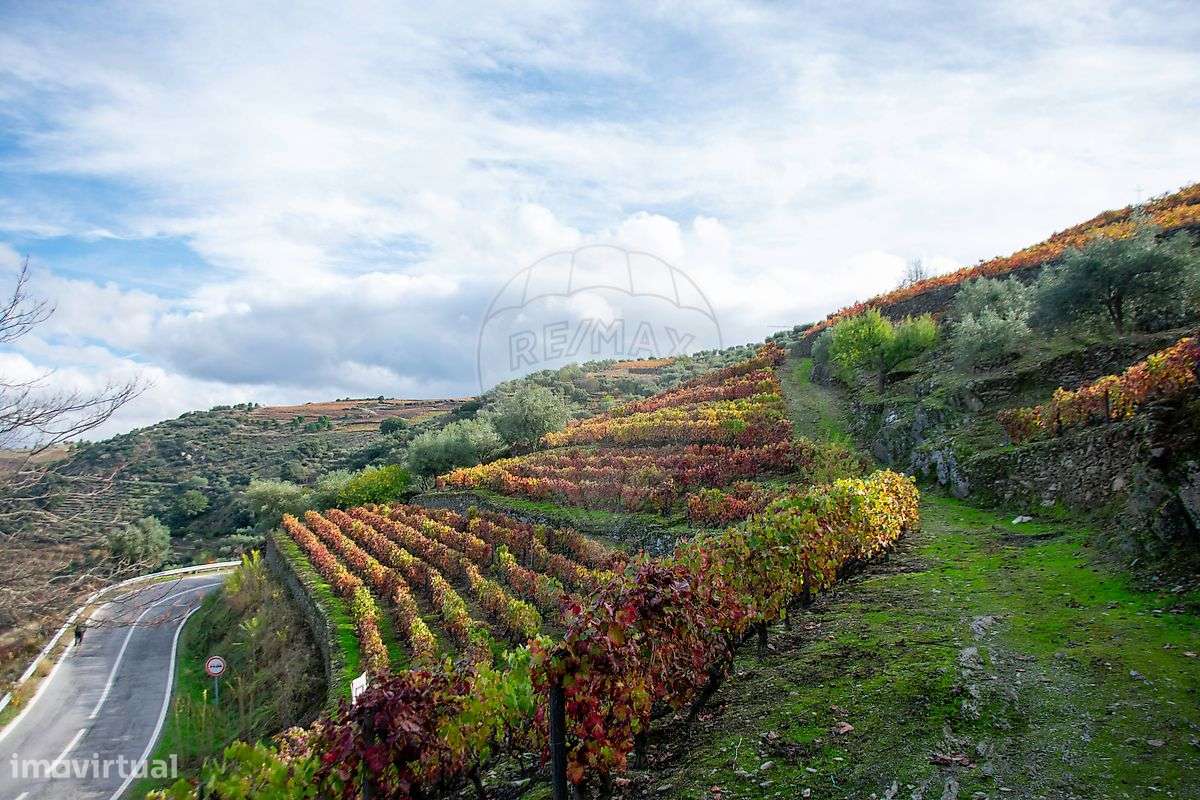 Terreno  para venda - Grande imagem: 5/23