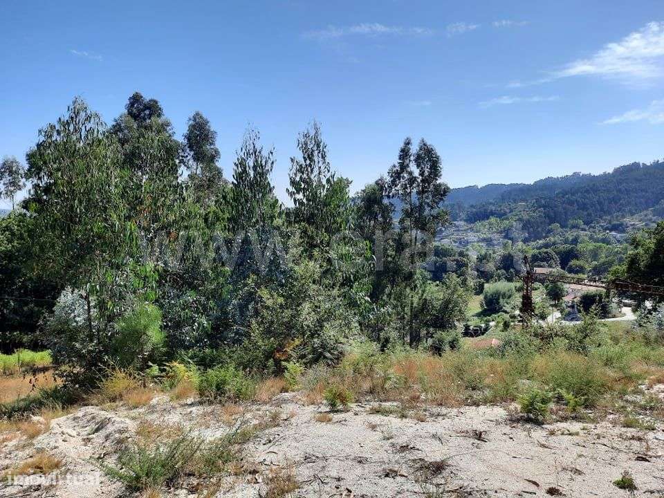 Terreno de construção com 1.800 m2 em Travassós - Grande imagem: 5/6