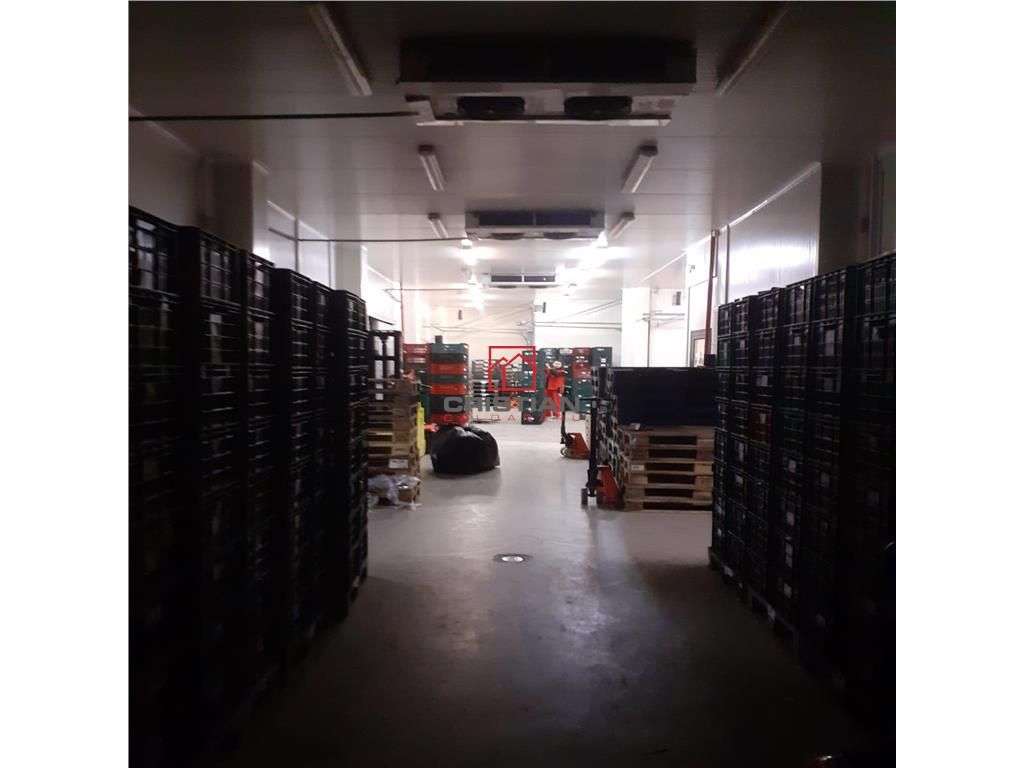 Inchiriere depozit frigospatiu frigorific Militari - Valea Cascadelor, - Imagine principală: 5/5