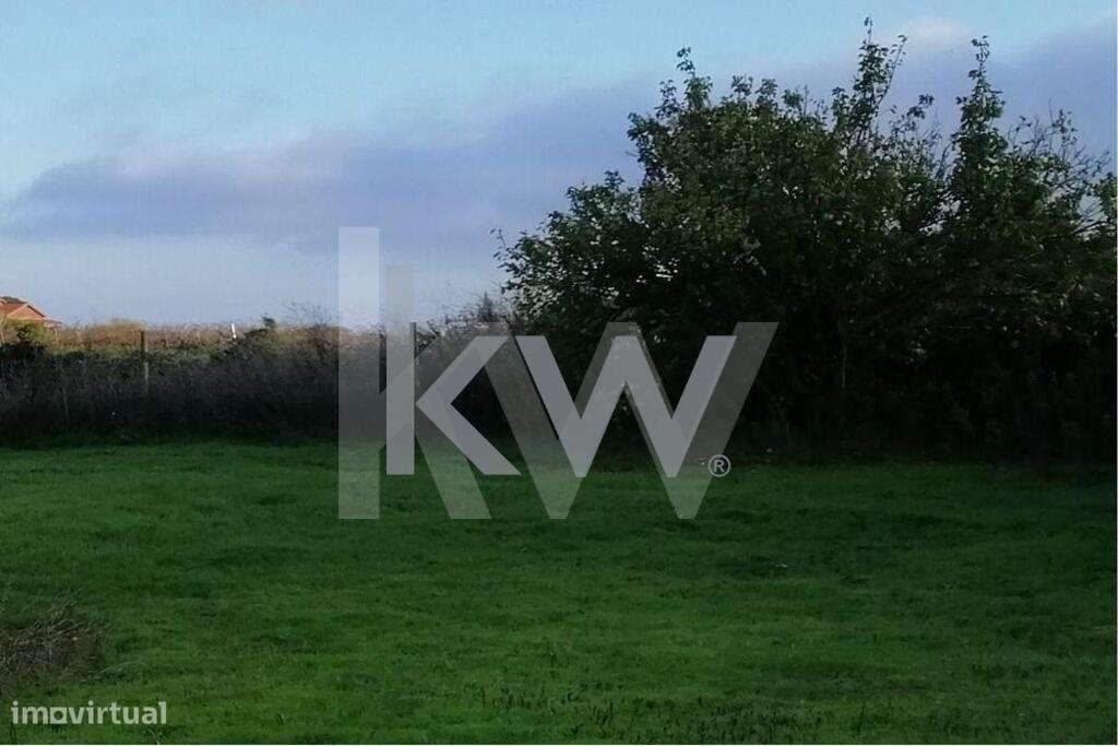 Terreno 3.320m2 em Alenquer, Lisboa - mais estrutura de apoio - Grande imagem: 4/8