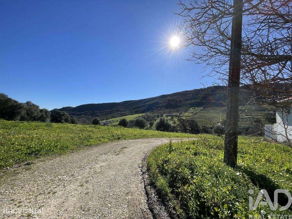 Quinta T5 em Alverca do Ribatejo e Sobralinho de 304,00 m2 - Grande imagem: 3/30
