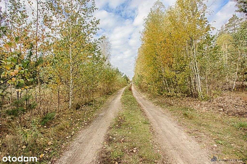 ***Zwierki Działka*** - Pełny obrazek: 5/5