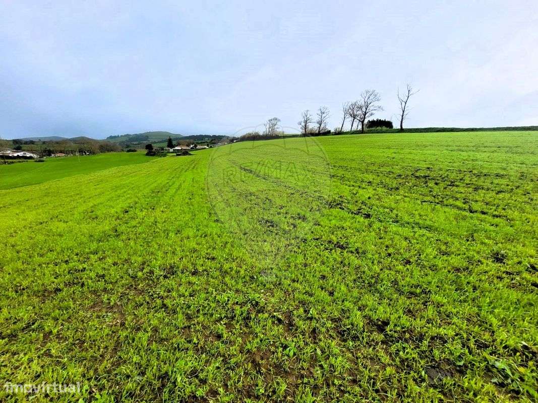 Terreno  para venda - Grande imagem: 4/8