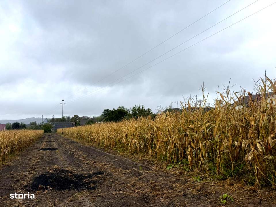 Adresa in Romania-  casa batraneasca demolabila cu 2050 mp teren-17