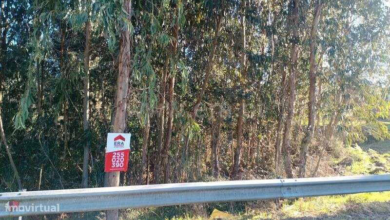 Terreno / Marco de Canaveses, Soalhães - Grande imagem: 3/20