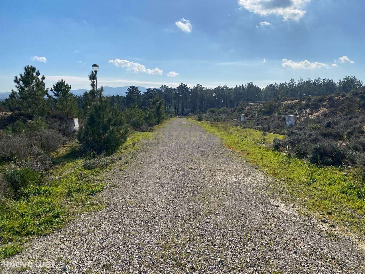 Últimos lotes na primeira rua da Ribeira do Marchante - Grande imagem: 4/12