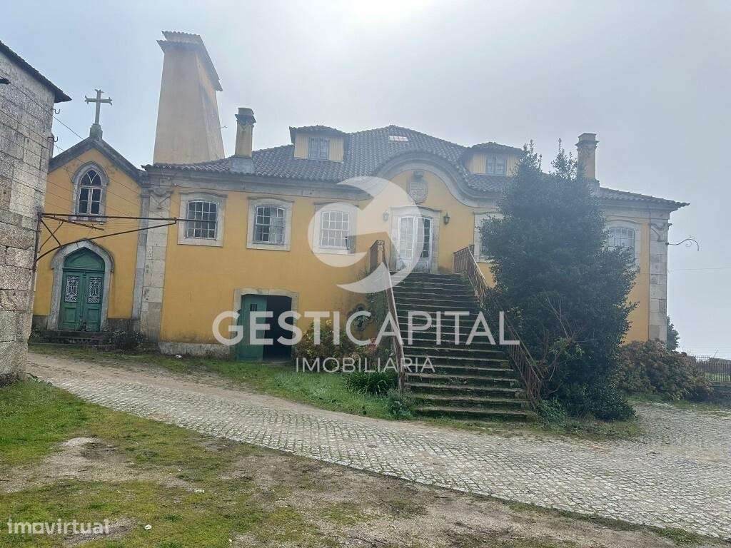 Casa de Quintã – Solar brasonado histórico com vinha em Marco de Canav - Grande imagem: 2/19