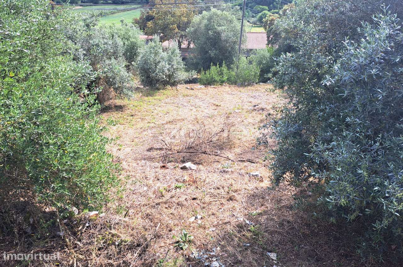 Terreno Urbanizável em Mira de Aire - Grande imagem: 4/30
