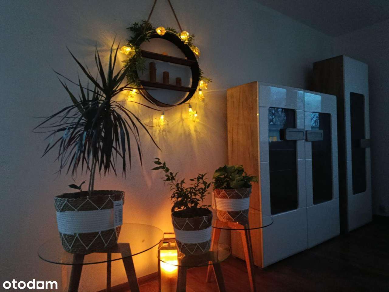 Urokliwa kawalerka w Łabędach - Pełny obrazek: 2/13