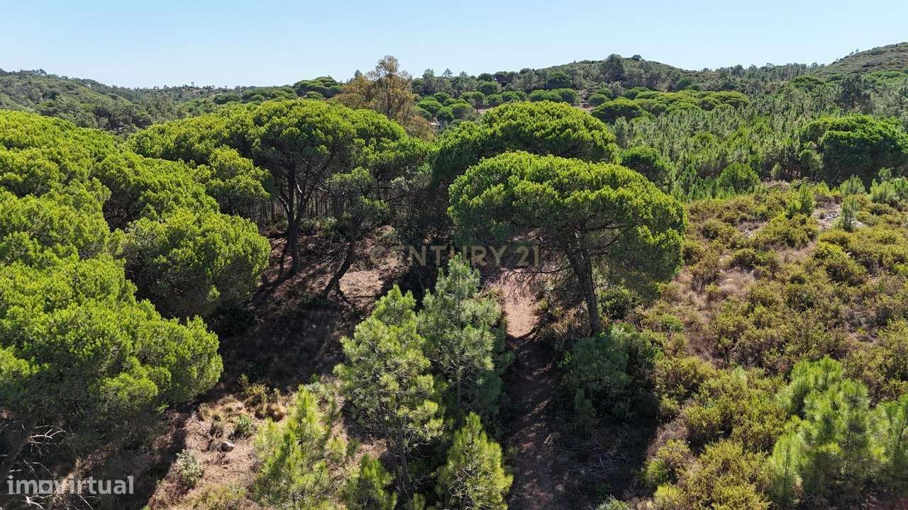 Terreno com área de 10.000m2 com projeto aprovado perto da Aldeia do M-5