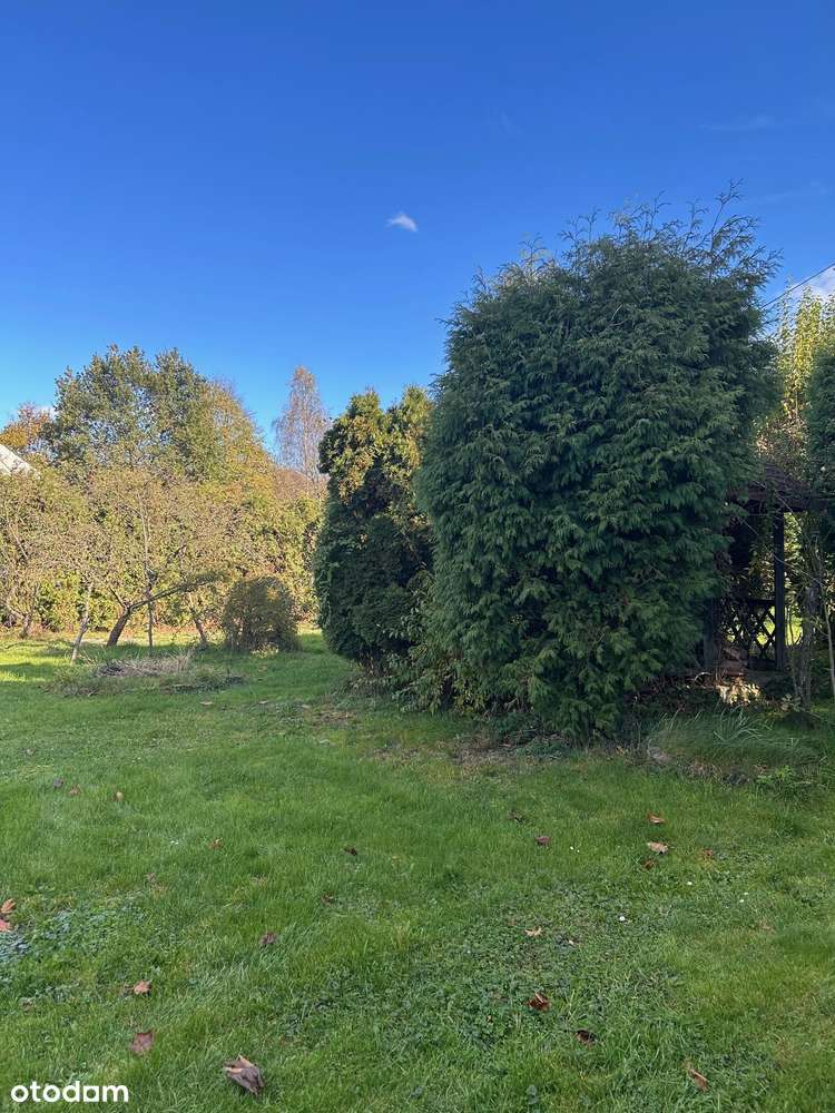 Dom / Przeginia Narodowa/ Brak Prowizji - Pełny obrazek: 4/14