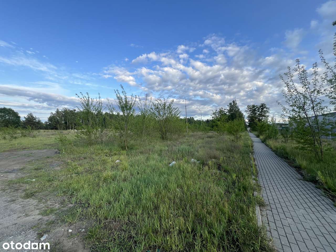 Atrakcyjna działka inwestycyjna 4662 m²  BPPT - Pełny obrazek: 2/3