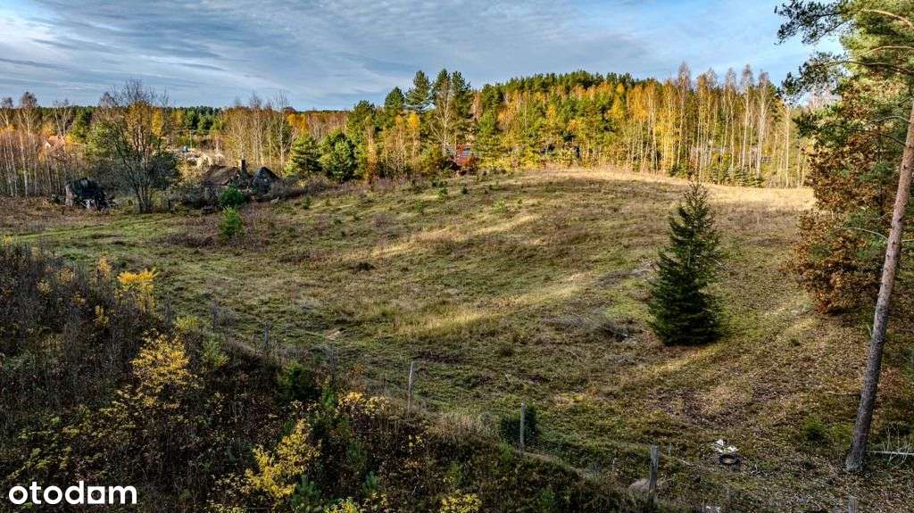 Klimatyczna duża działka blisko jeziora i lasu-6