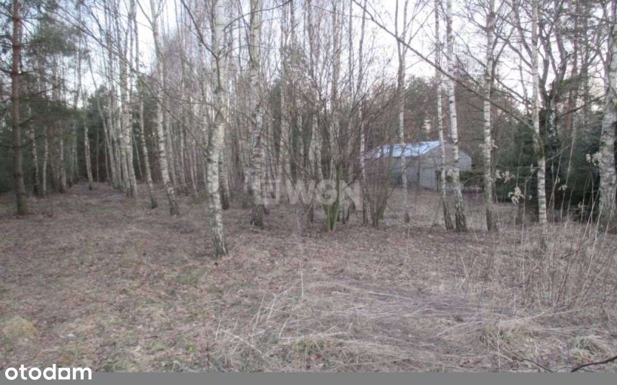 Działka, 8 643 m², Poraj - Pełny obrazek: 4/10