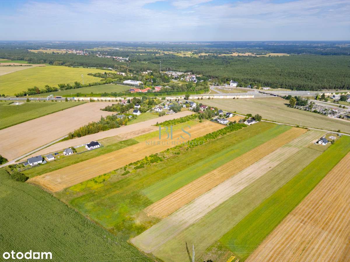 Warunki zabudowy -dom jednorodzinny - Pełny obrazek: 5/8