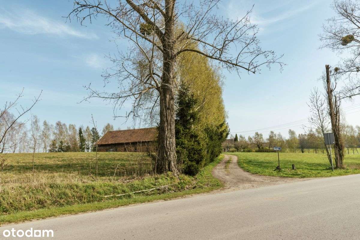 Atrakcyjna działka rolna z zabudowaniami - Pełny obrazek: 5/20