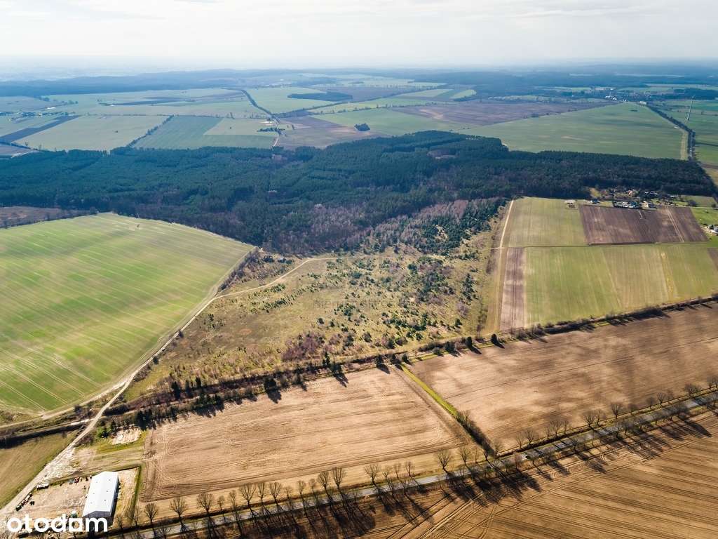 Działki na granicy Baczyna/Marwice miejscowy plan!-12