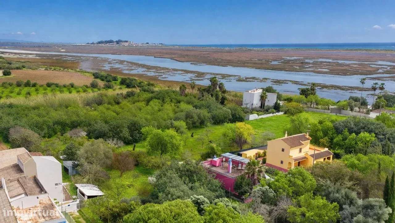Quinta Exclusiva com 7.272 m2, junto à Ria Formosa – Potencial Único e - Grande imagem: 2/23