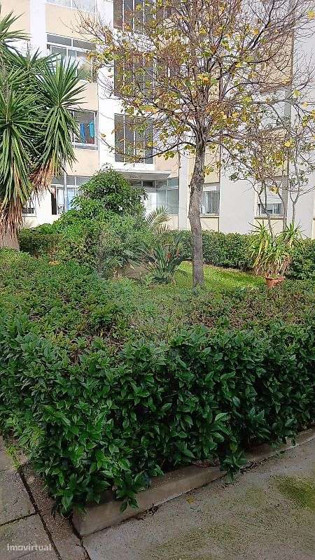 Apartamento T2 para arrendamento - Grande imagem: 5/5