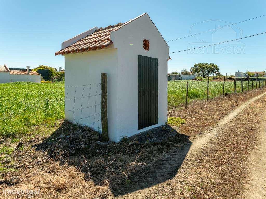 Quinta com duas moradias a 5 minutos de Montemor-o-Novo-42