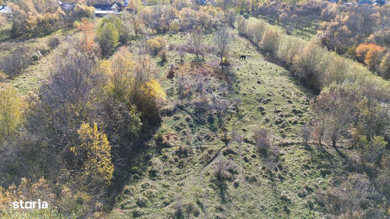 Teren si casa de vânzare la baza muntelui Iezer in Valea Mare Pravat-12