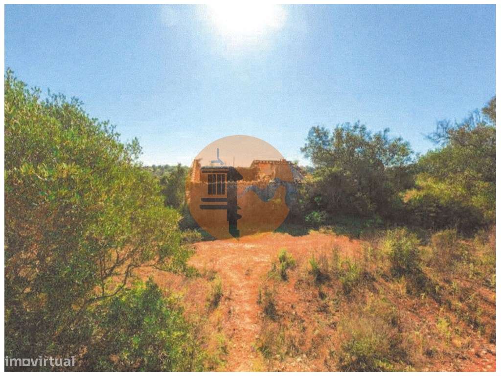 Terreno misto com 9120 m2 com Ruina de 102 m2 que permite ampliação... - Grande imagem: 2/21